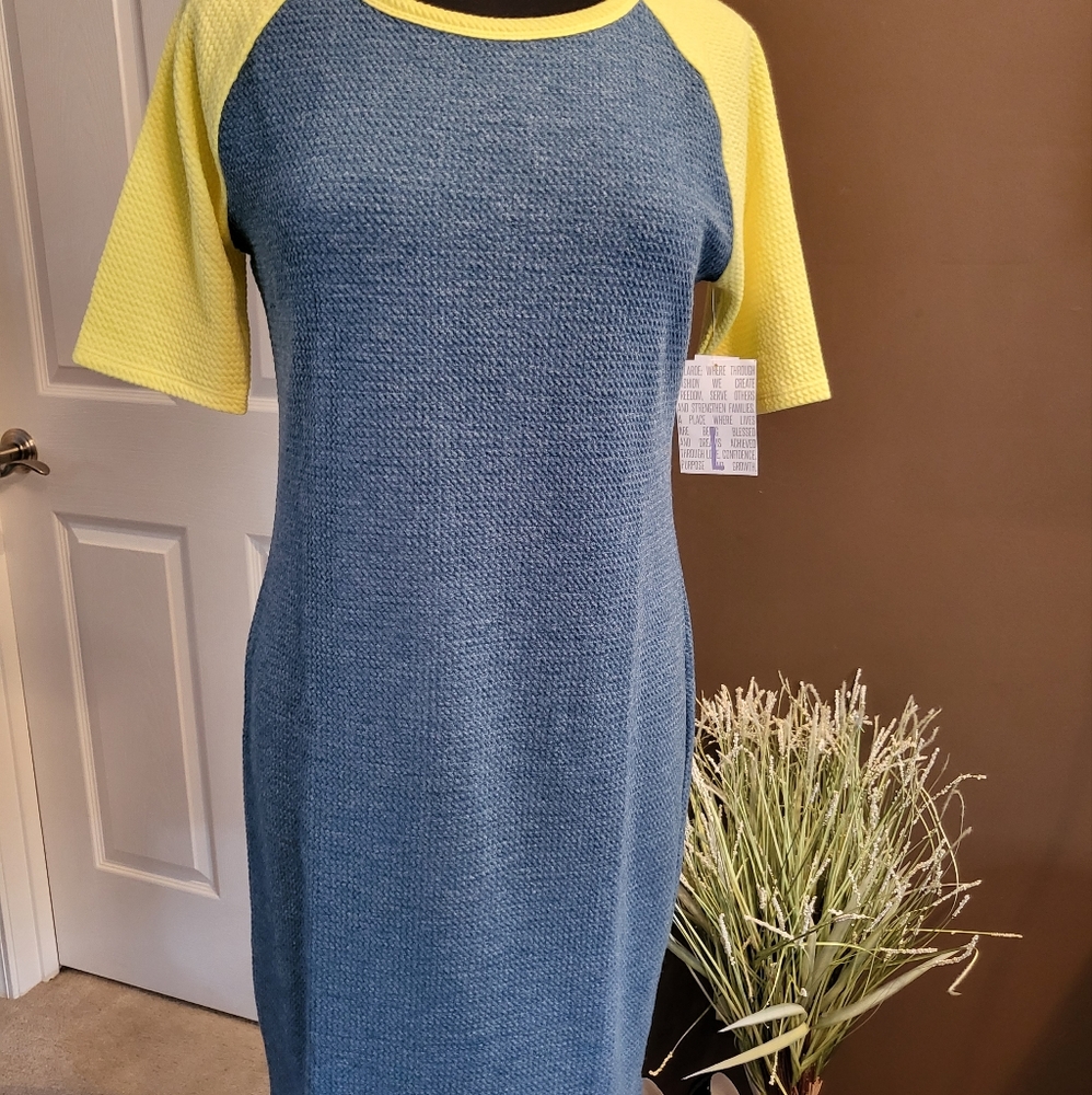 LuLaRoe Julia Raglan Dress